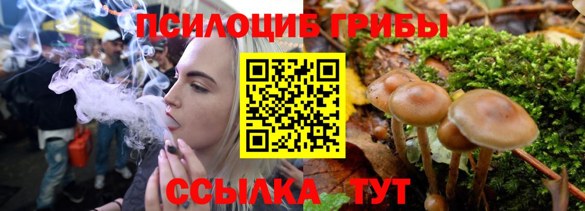 Галлюциногенные грибы Psilocybe  Вход с VPN  Шелехов 